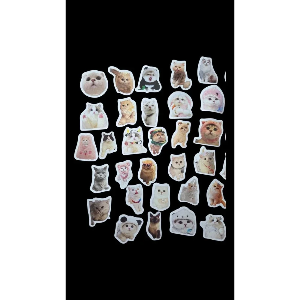 60 Cute Cat Stickers Kawaii Waterproof Vinyl Laptop Water Bottle Journal Scrapbo
